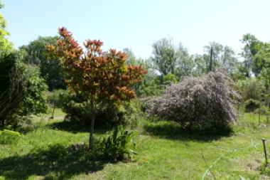Accueil - Le JARDIN DE ROCHEVIEILLE